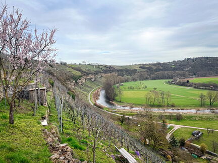 23-03-17 15-15-09 4929